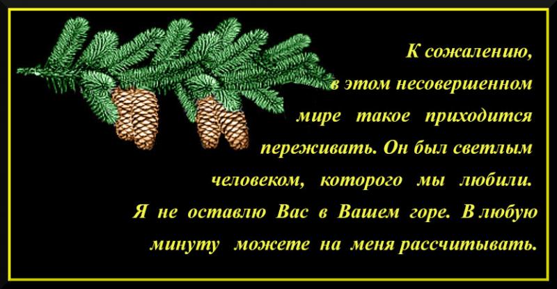 Спасибо всем за соболезнования и поддержку картинки